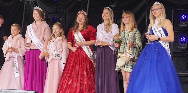 Bild: 25. Weinfest in Sondershausen