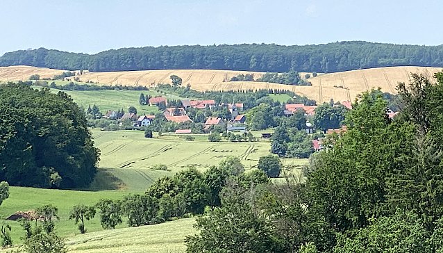 Bild: Bei H&ouml;rningen