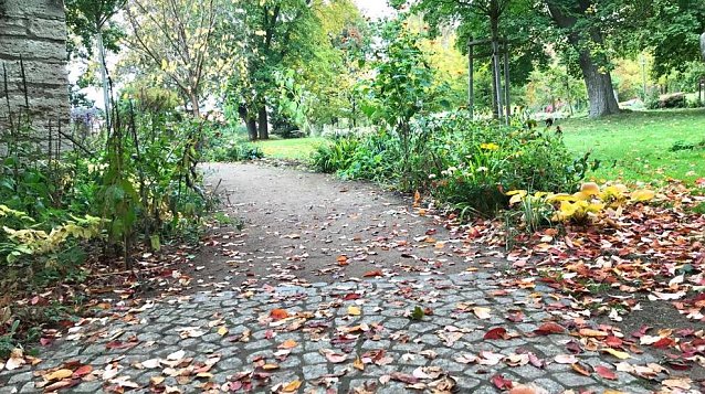 Bild: Herbstlicher Weg