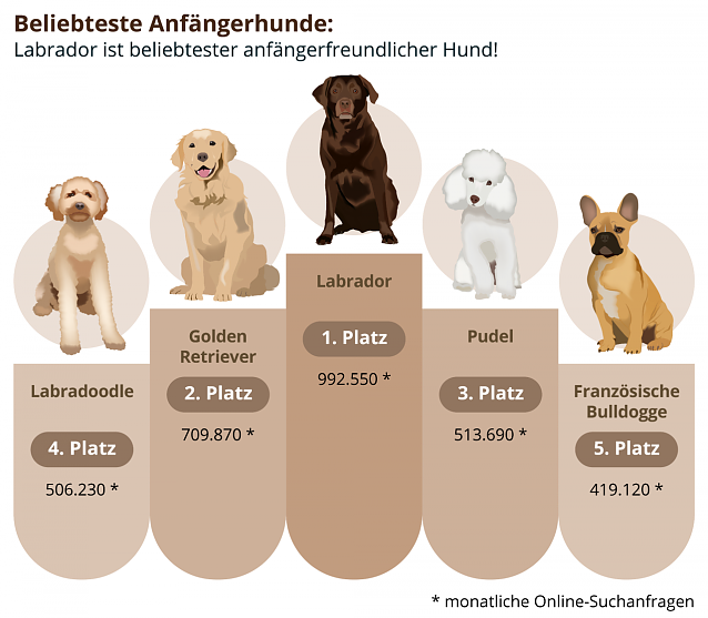 Bild: Ranking beliebter Hinde