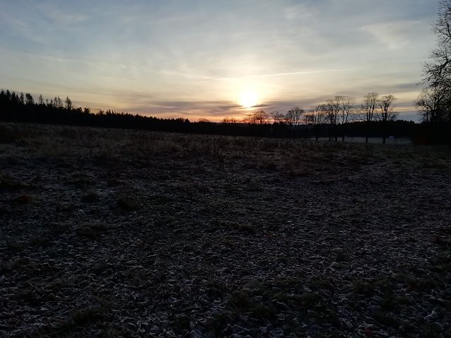 Bild: Minus 1 Grad Celsius und Sonnenschein - so sah es heute morgen in Sophienhof aus