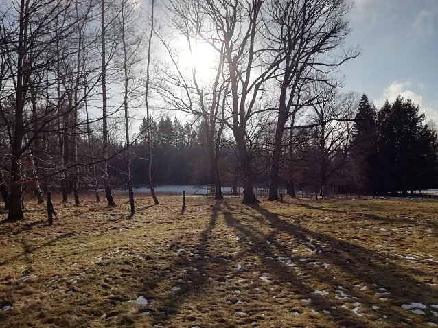 Bild: In Sophienhof weicht der Schnee langsam der Sonne