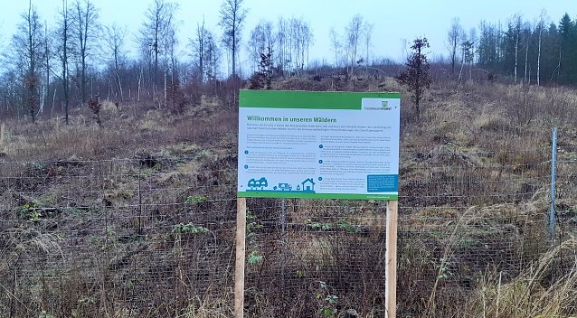 Bild: Auf immer mehr Waldumbaufl&auml;chen finden sich Info-Tafeln, die dem Waldbesucher das Handeln der Forstleute vor Ort erkl&auml;ren