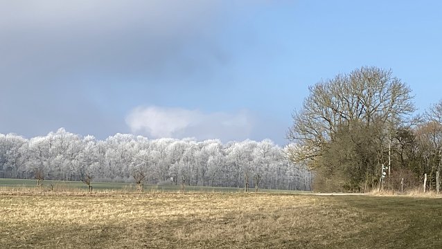 Bild: Bei Dingelst&auml;dt