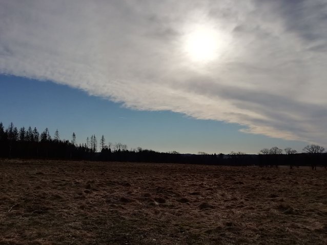 Bild: Den Sonnenschein konnte man heute morgen auch in Sophienhof genie&szlig;en