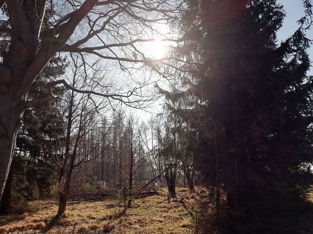 Bild: Auch in Sophienhof begl&uuml;ckte heute die Fr&uuml;hlingssonne das Gem&uuml;t