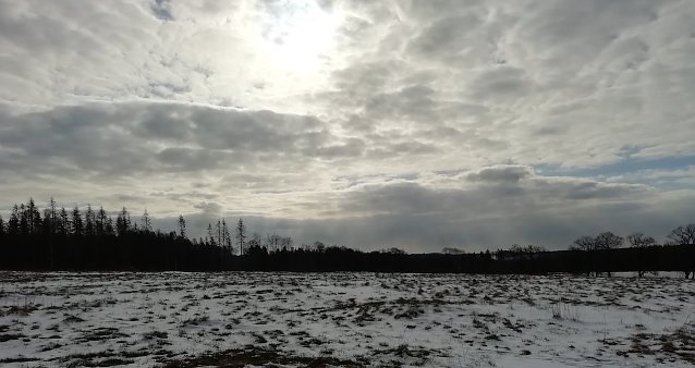 Bild: Minus 4 Grad, leichter Wind und die Sonne sucht sich ihren Weg huet in Sophienhof
