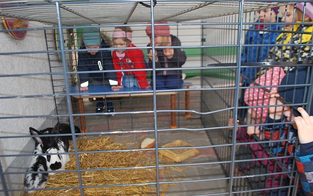 Bild: Hasenbesuch in der Kindervilla
