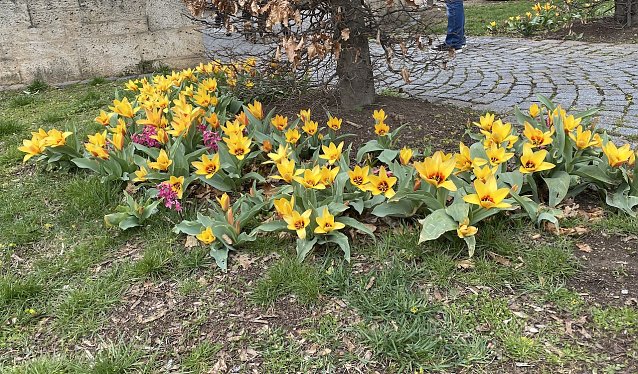 Bild: Ab Samstag freundliches Osterwetter