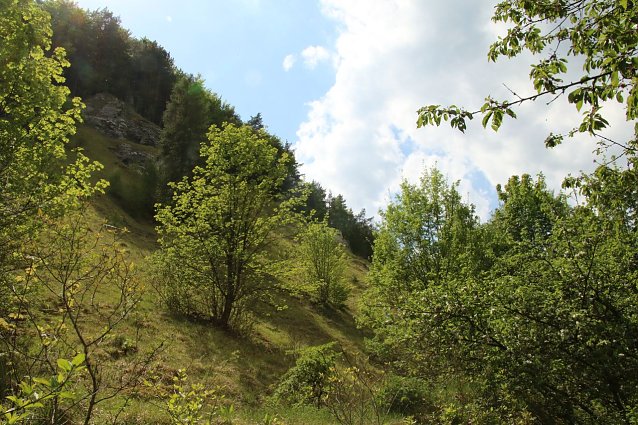 Bild: Wetterbild