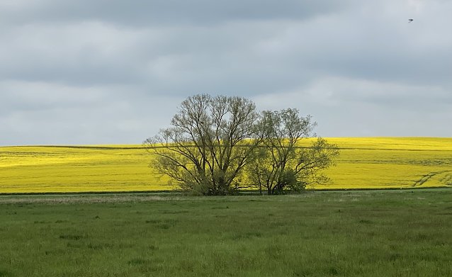 Bild: Dunkle Wolken ziehen auf