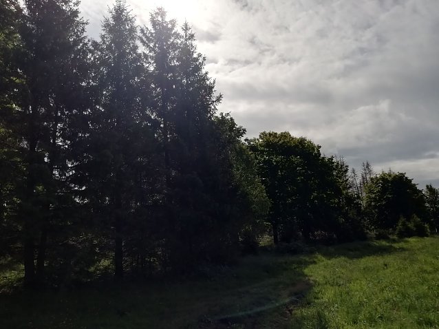 Bild: Wolkenverhangen aber sch&ouml;n - das Wetter heute morgen in Sophienhof