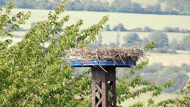 Bild: Verwaistes Storchennest am Stausee Kelbra