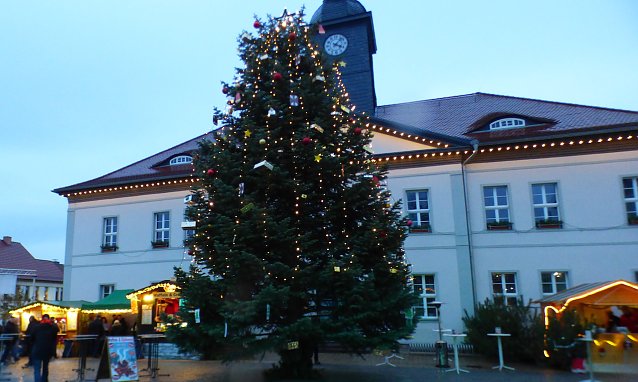 Bild: Bad Frankenhausen sucht einen Weihnachtsbaum