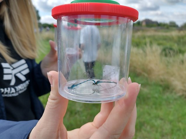 Bild: Entlang der Helme lie&szlig; sich manches kleine Naturwunder entdecken