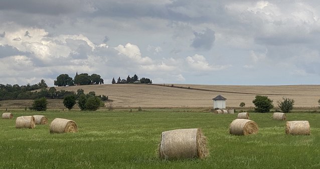 Bild: Sommerstimmung bei Merxleben