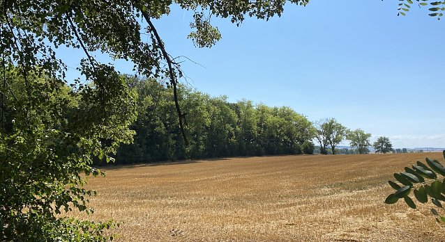 Bild: Sehr freundliches Sommerwetter bliebt bestehen