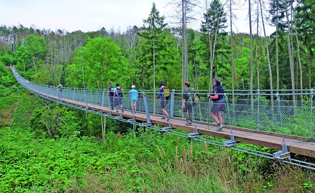 Bild: Teilnehmende auf der H&auml;ngeseilbr&uuml;cke in der Hohe Schrecke