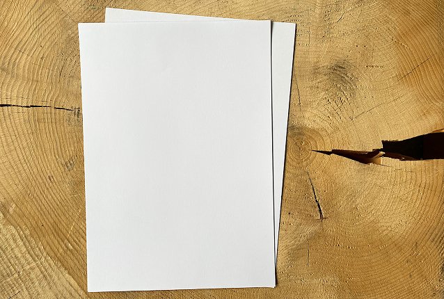 Bild: Ohne Holz kein Papier. Die Zellulose, neben Lignin wichtigster Bestandteil von Holz, ist Ausgangspunkt der Papierproduktion. 
