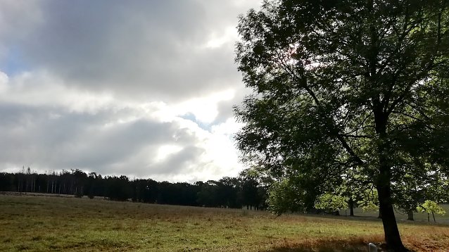 Bild: Sophienhof heute Morgen bei 4 &deg;C.