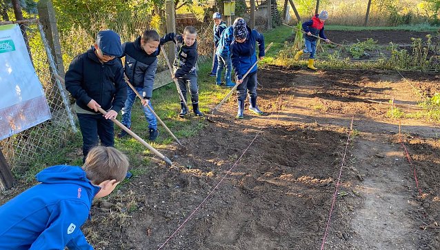 Bild: Schulgartenprojekt in der Staatlichen Grundschule Hohenebra