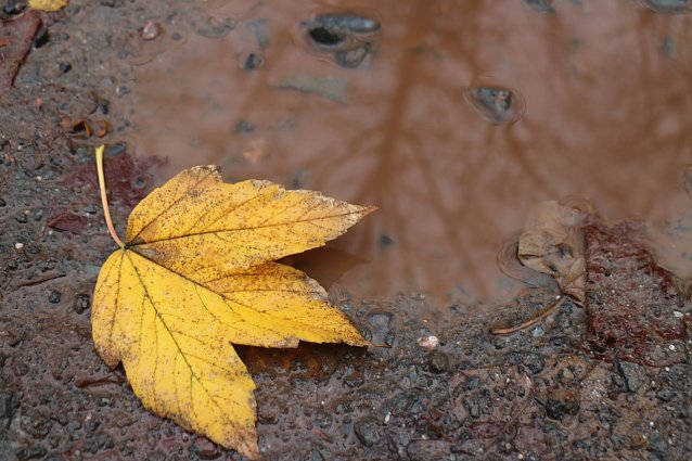 Bild: Wetterbild