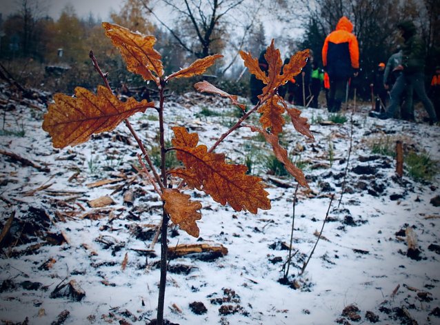 Bild: Wetterbild