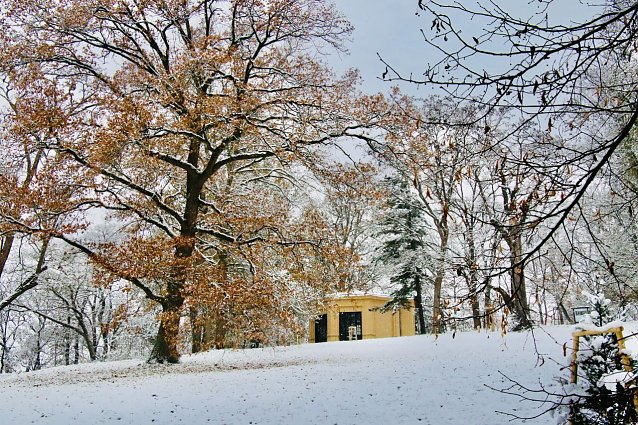 Bild: Winterimpression aus dem Park Hohenrode in Nordhausen
