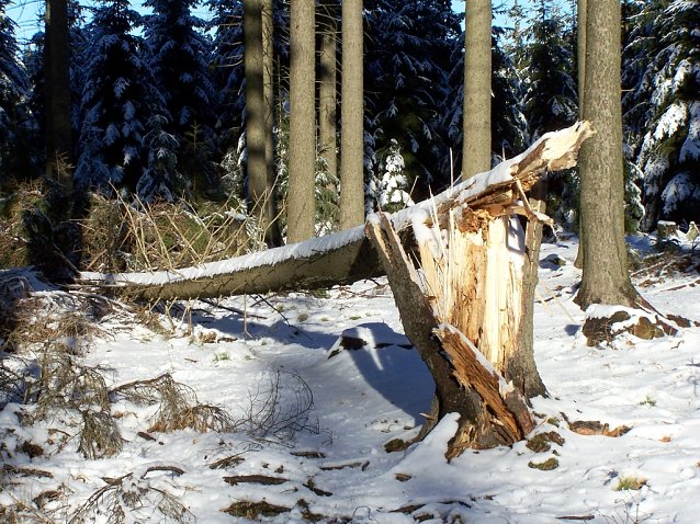 Bild: Winterst&uuml;rme sind oft intensiver und fl&auml;chengr&ouml;&szlig;er als Sommerst&uuml;rme. Laut Klimaexperten nehmen beide in den n&auml;chsten Jahrzehnten an H&auml;ufigkeit und Ausma&szlig; zu