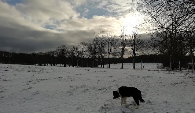 Bild: Minus 1 Grad, kaum Wind und gutes Wanderwetter verspricht heute Th&uuml;ringens n&ouml;rdlichster Punkt in Sophienhof 