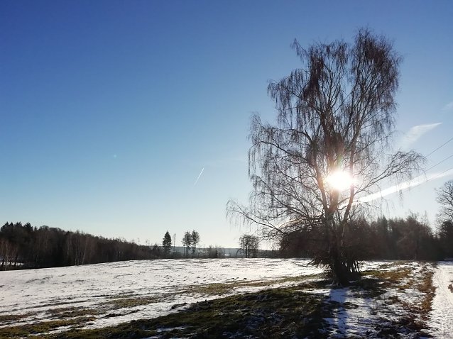 Bild: Frostig frisch und klar im Harz