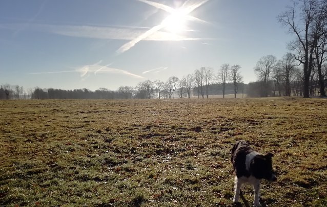 Bild: Windstill und sonnig bei -2 Grad pr&auml;sentierte sich heute Morgen Sophienhof