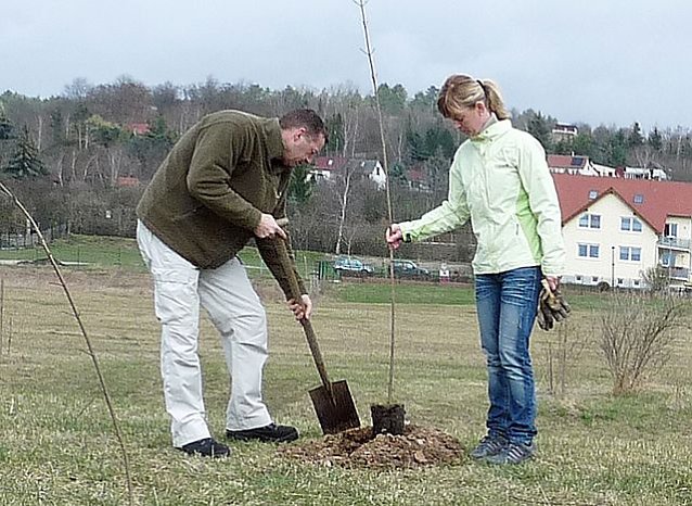 Bild: Baumpflanzung Bad Frankenhausen