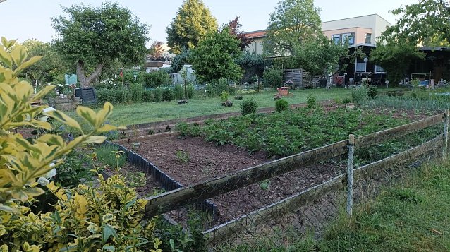 Bild: Bei den Kleing&auml;rtnern der Anlage "Gl&uuml;ckauf" werden demn&auml;chst die G&auml;rten ge&ouml;ffnet