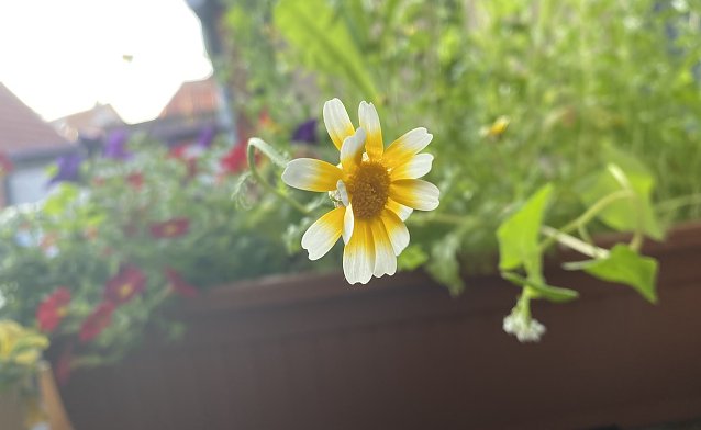 Bild: Weiter wechselhaftes Wetter