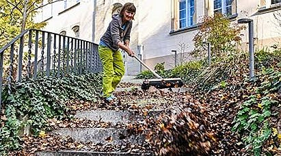 Bild: Laubbeseitugung im Herbst: wer ist verantwortlich?