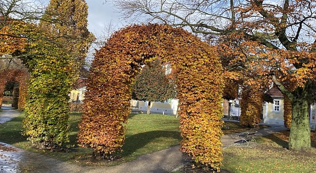 Bild: Verabschiedet sich der Herbst schon?