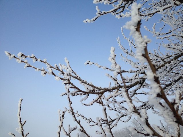 Bild: Wetterbild
