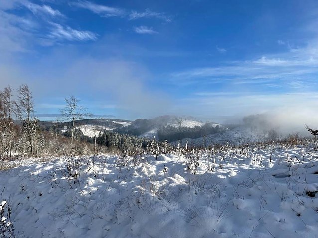 Bild: Talsperre in Neustadt im Winter
