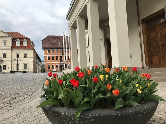 Bild: Sondersh&auml;user Rathaus im Fr&uuml;hjahr (Archiv)