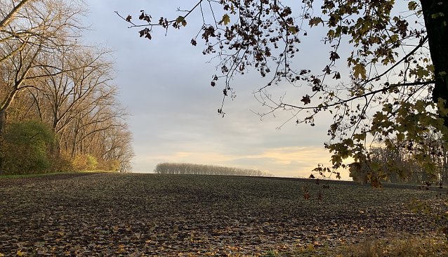 Bild: Wetter