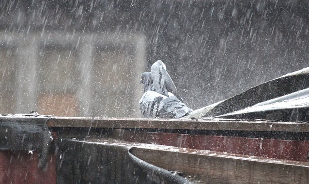 Bild: Windig und kr&auml;ftige Gewitter