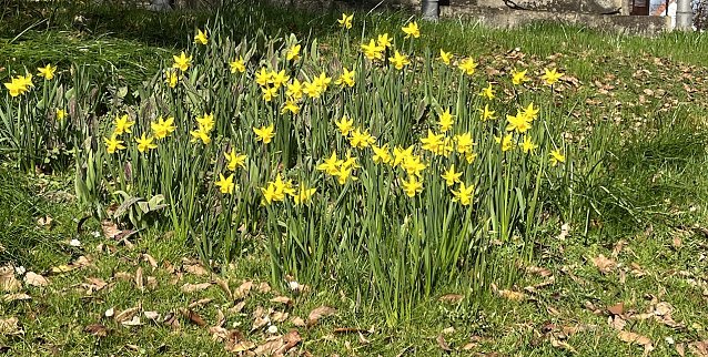 Bild: Sommerliches Wetter lockt am Wochenende in die aufbl&uuml;hende Natur