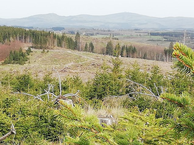 Bild: Blick auf den Brocken bei 15 Grad und Sonnenschein
