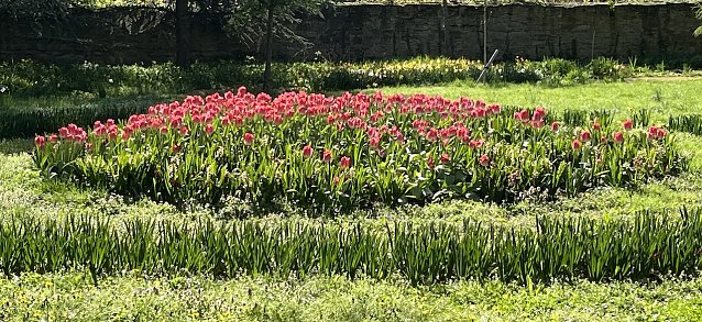 Bild: Im Arboretum in Bad Langensalza