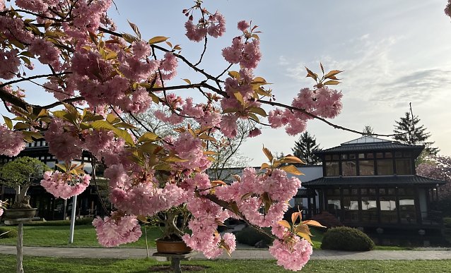 Bild: Der Fr&uuml;hling legt eine Pause ein