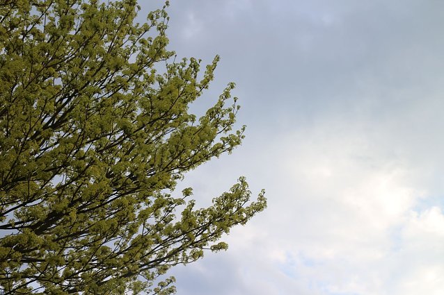Bild: Wetterbild