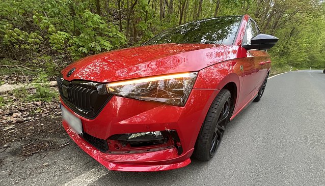 Bild: Ein Skoda kollidierte mit eine jungen Rehbock