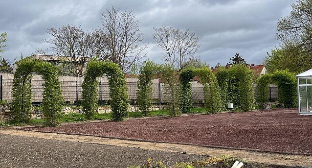 Bild: Wird am Mittwoch wieder er&ouml;ffnet: Der Botanische Garten in Bad Langensalza