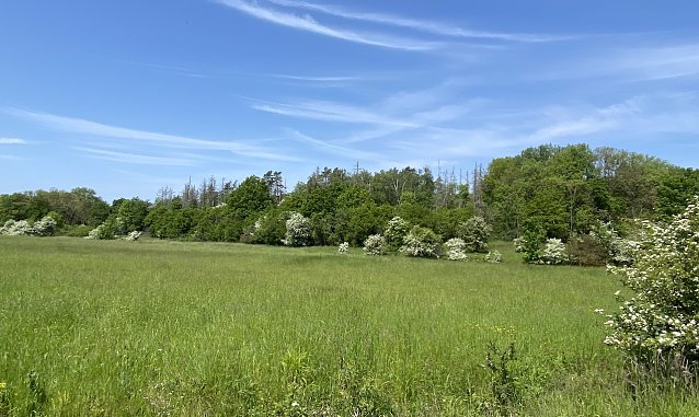 Bild: Das fr&uuml;hsommerliche Wetter bleibt erhalten